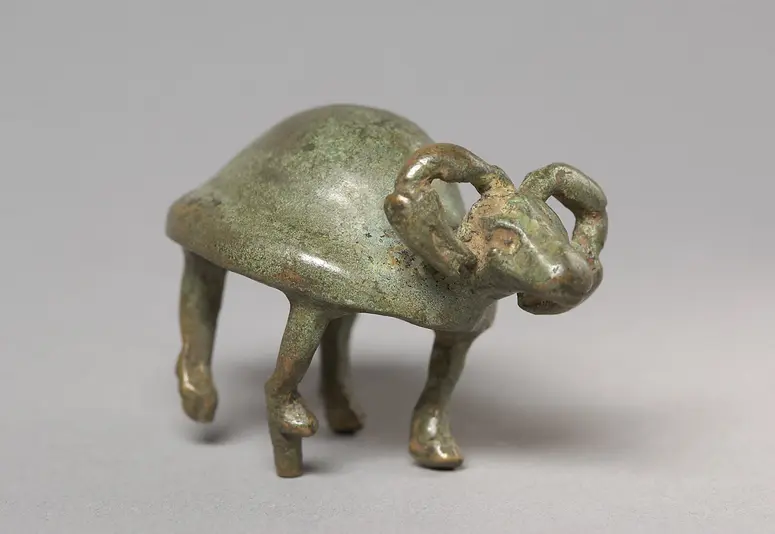 Water buffalo